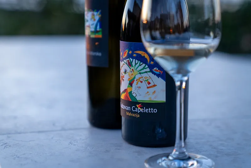 Wine Tasting in Dalmatia: Pelješac, Hvar and Vis — photo 1