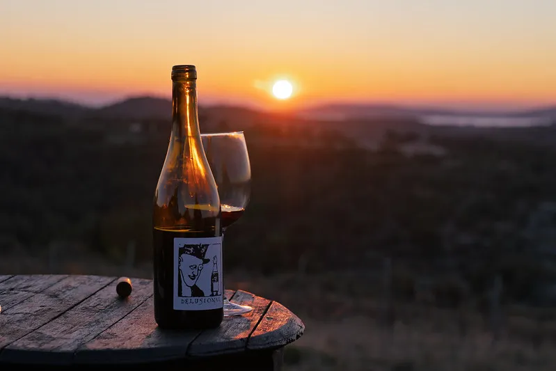 Wine Tasting in Dalmatia: Pelješac, Hvar and Vis — photo 2